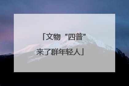 文物“四普”来了群年轻人