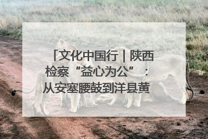 文化中国行｜陕西检察“益心为公”：从安塞腰鼓到洋县黄酒的非遗守护