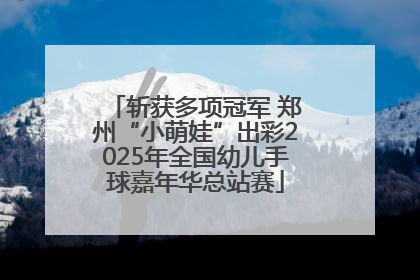 斩获多项冠军 郑州“小萌娃”出彩2025年全国幼儿手球嘉年华总站赛
