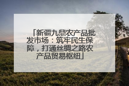 新疆九鼎农产品批发市场：筑牢民生保障，打通丝绸之路农产品贸易枢纽