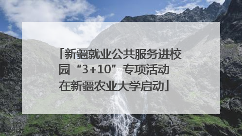 新疆就业公共服务进校园“3+10”专项活动在新疆农业大学启动
