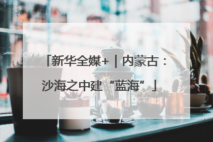 新华全媒+｜内蒙古：沙海之中建“蓝海”
