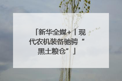 新华全媒+丨现代农机装备驰骋“黑土粮仓”