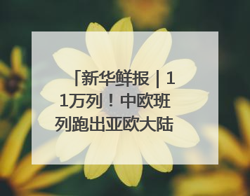 新华鲜报｜11万列！中欧班列跑出亚欧大陆“新时速”