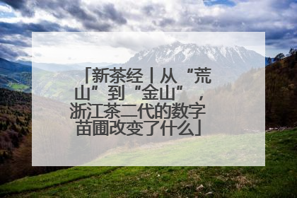 新茶经丨从“荒山”到“金山”，浙江茶二代的数字苗圃改变了什么