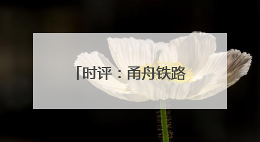 时评：甬舟铁路绘就长三角一体化发展新蓝图