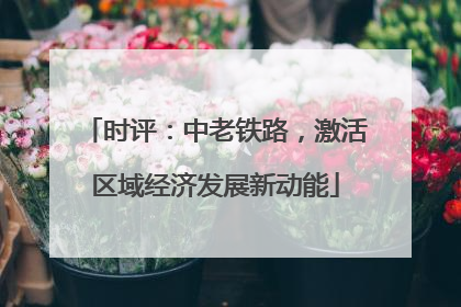 时评：中老铁路，激活区域经济发展新动能