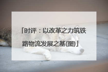 时评：以改革之力筑铁路物流发展之基(图)