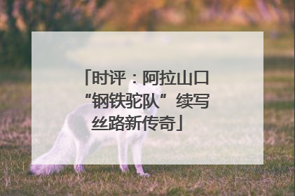 时评：阿拉山口“钢铁驼队”续写丝路新传奇