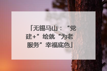 无锡马山：“党建+”绘就“为老服务”幸福底色