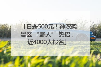 日薪500元！神农架景区 “野人” 热招，近4000人报名