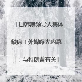 日韩澳领导人集体缺席！外媒曝光内幕：与特朗普有关