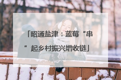 昭通盐津：蓝莓“串”起乡村振兴增收链