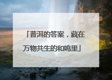 普洱的答案，藏在万物共生的和鸣里