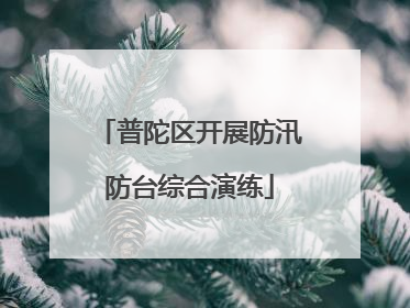 普陀区开展防汛防台综合演练