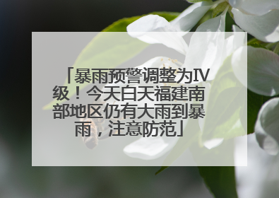 暴雨预警调整为Ⅳ级！今天白天福建南部地区仍有大雨到暴雨，注意防范