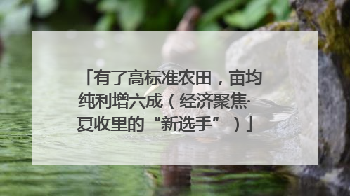有了高标准农田，亩均纯利增六成（经济聚焦·夏收里的“新选手”）