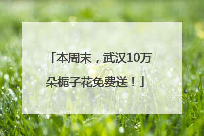 本周末，武汉10万朵栀子花免费送！