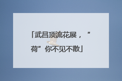 武昌顶流花展，“荷”你不见不散