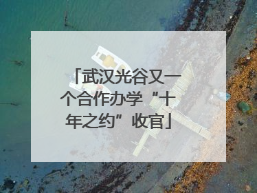 武汉光谷又一个合作办学“十年之约”收官
