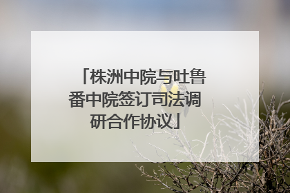 株洲中院与吐鲁番中院签订司法调研合作协议