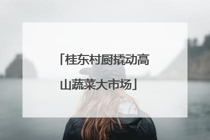 桂东村厨撬动高山蔬菜大市场