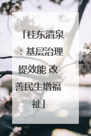 桂东清泉：基层治理提效能 改善民生增福祉