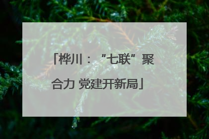 桦川：“七联”聚合力 党建开新局