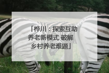 桦川：探索互助养老新模式 破解乡村养老难题
