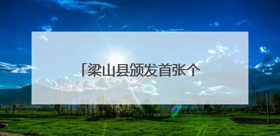 梁山县颁发首张个体户直接变更“个转企”营业执照