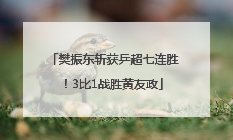 樊振东斩获乒超七连胜！3比1战胜黄友政