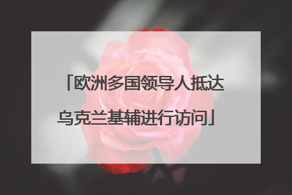 欧洲多国领导人抵达乌克兰基辅进行访问