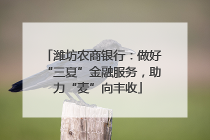 潍坊农商银行：做好“三夏”金融服务，助力“麦”向丰收