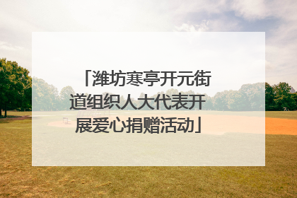 潍坊寒亭开元街道组织人大代表开展爱心捐赠活动