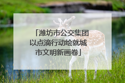 潍坊市公交集团以点滴行动绘就城市文明新画卷