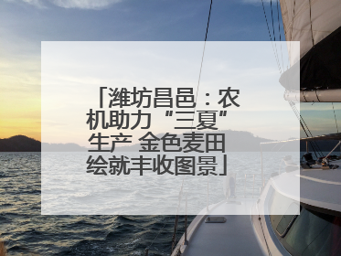 潍坊昌邑：农机助力“三夏”生产 金色麦田绘就丰收图景
