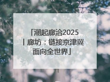 潮起廊洽2025丨廊坊：链接京津冀 面向全世界