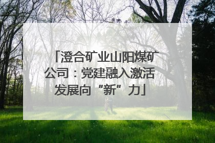 澄合矿业山阳煤矿公司：党建融入激活发展向“新”力