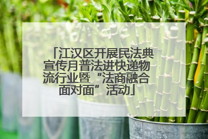 江汉区开展民法典宣传月普法进快递物流行业暨“法商融合面对面”活动