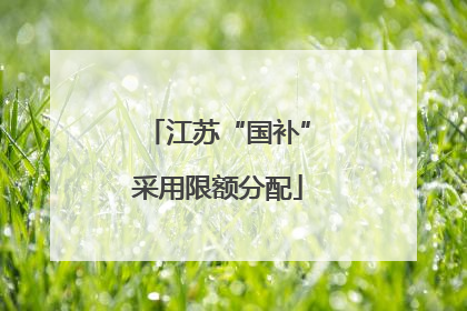 江苏“国补”采用限额分配