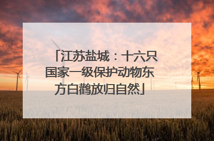 江苏盐城：十六只国家一级保护动物东方白鹳放归自然