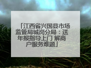 江西省兴国县市场监管局城岗分局：送年报指导上门 解商户服务难题