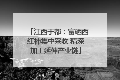 江西于都：富硒西红柿集中采收 精深加工延伸产业链