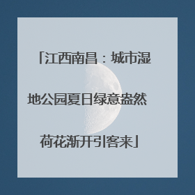 江西南昌：城市湿地公园夏日绿意盎然 荷花渐开引客来