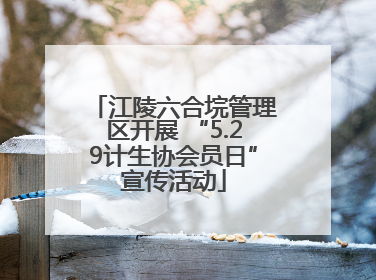 江陵六合垸管理区开展 “5.29计生协会员日”宣传活动