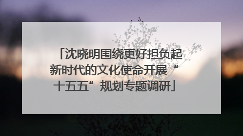 沈晓明围绕更好担负起新时代的文化使命开展“十五五”规划专题调研