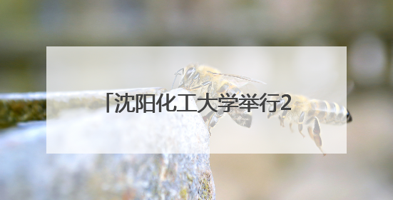 沈阳化工大学举行2025年俄罗斯院士专家辽宁行活动开幕式