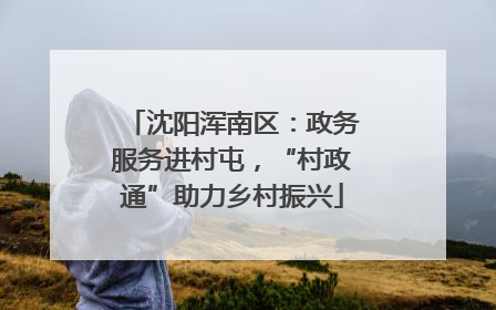 沈阳浑南区：政务服务进村屯，“村政通”助力乡村振兴