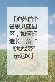 沪苏首个省级共建园区，如何打造长三角“飞地经济”示范区