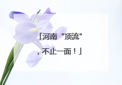河南“顶流”，不止一面！